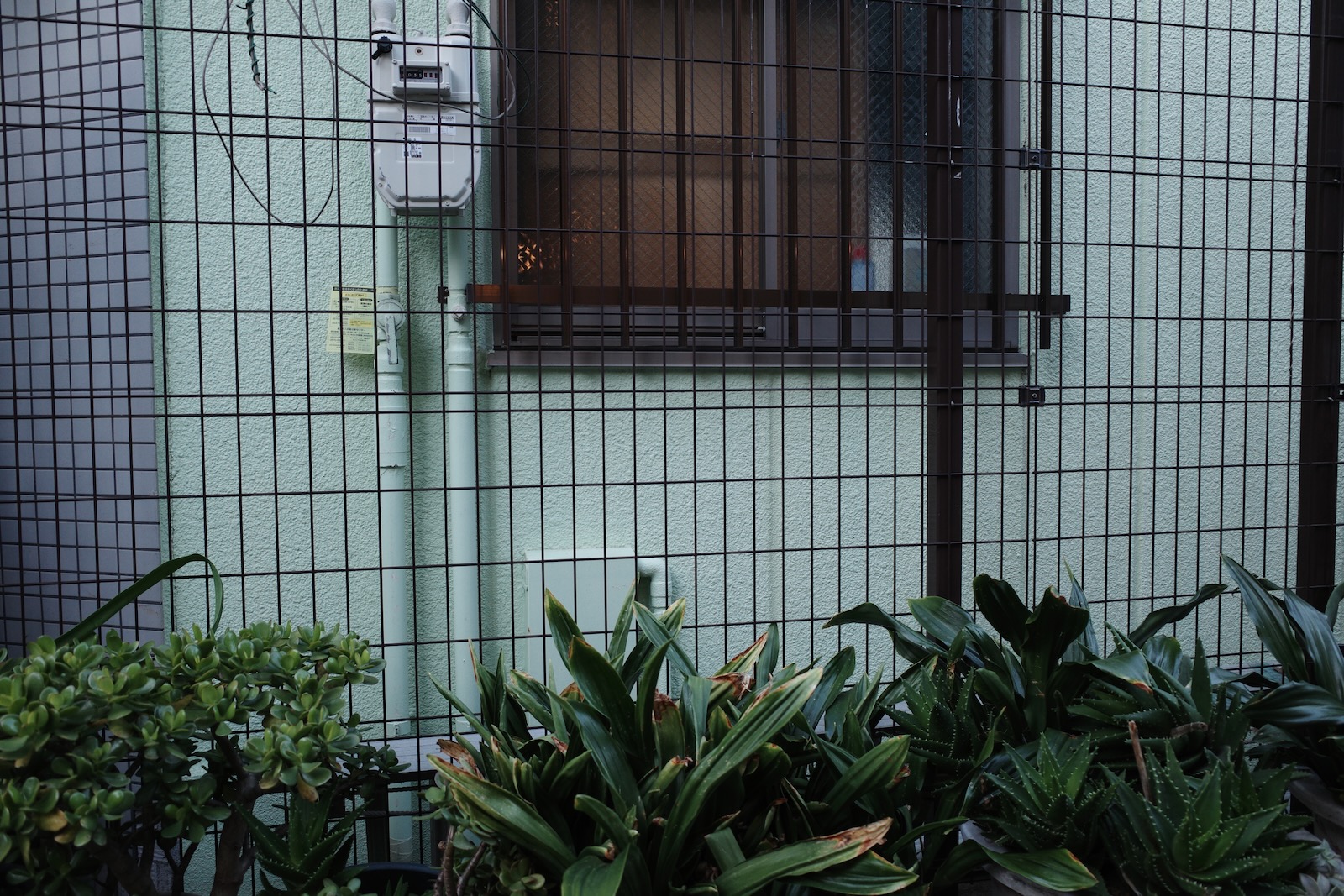 散歩