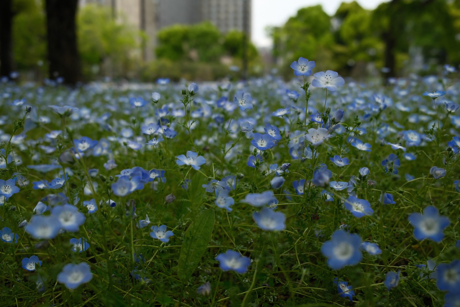 日比谷公園