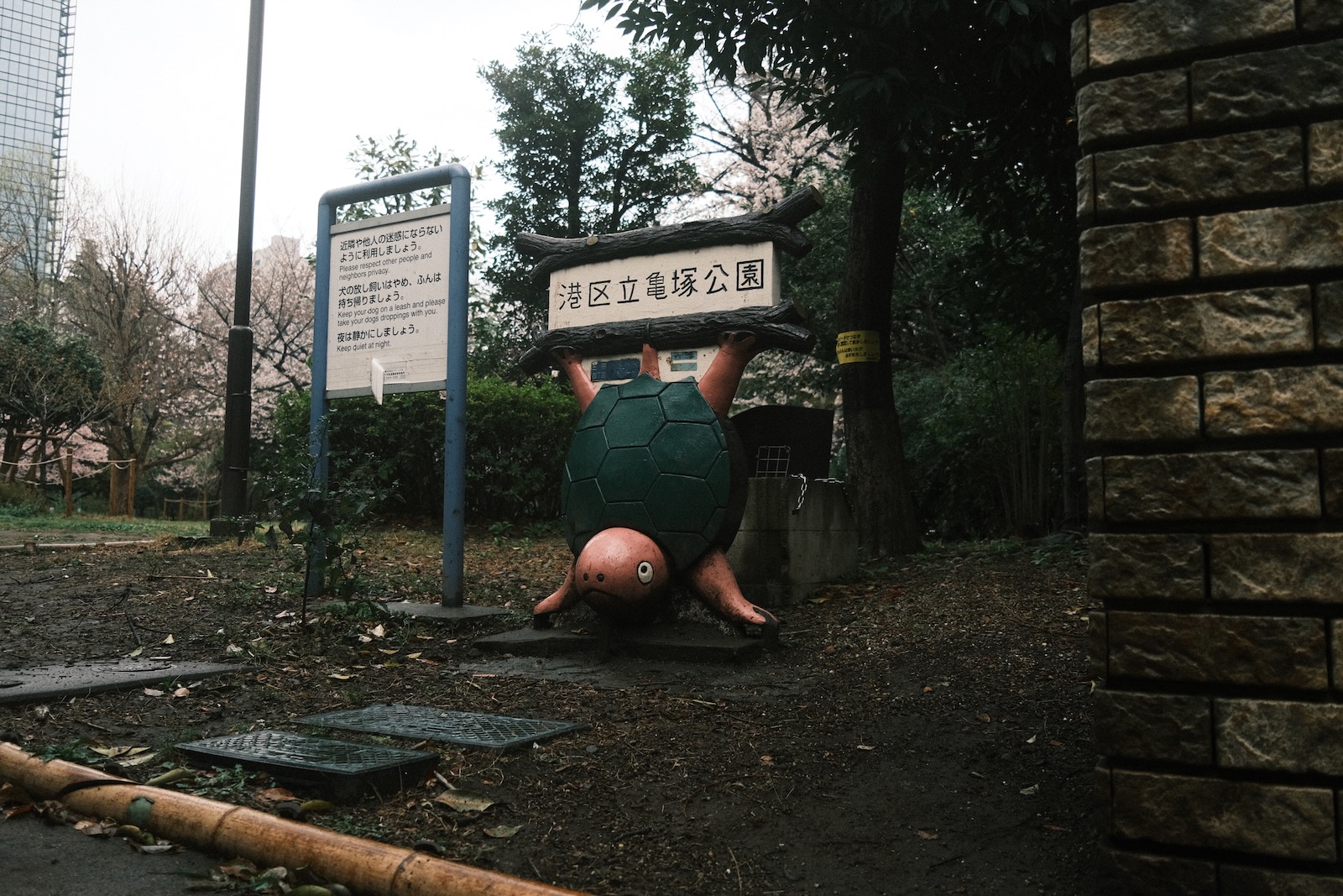雨