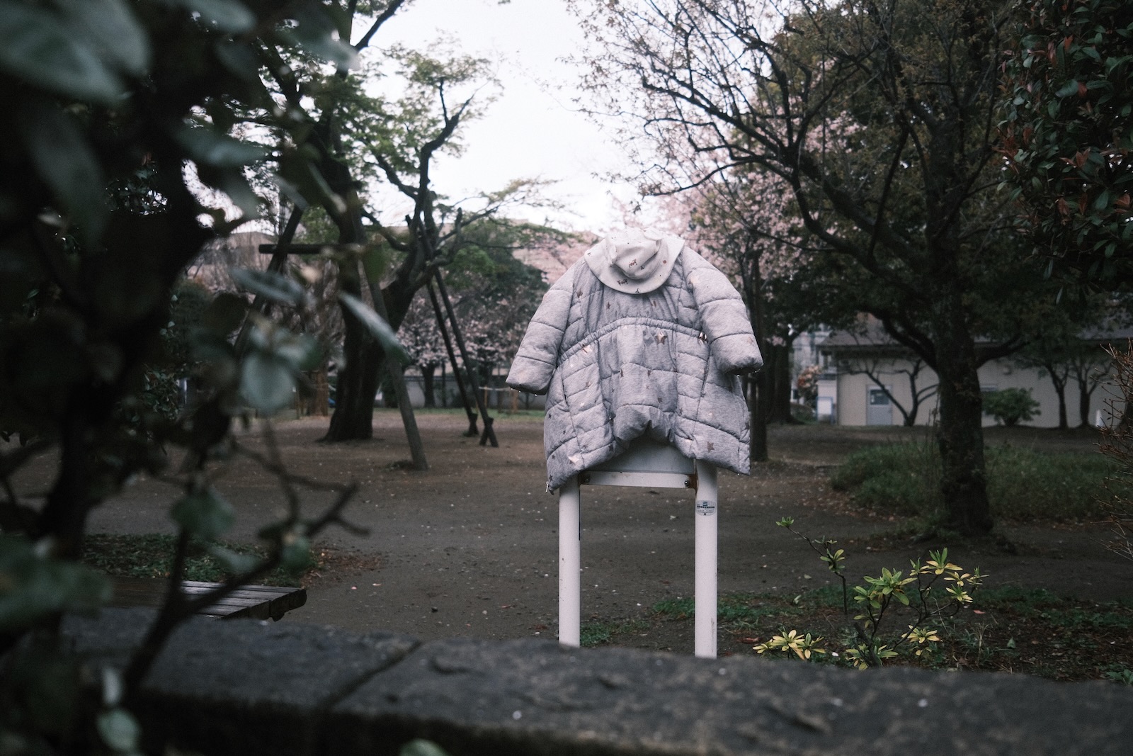 雨