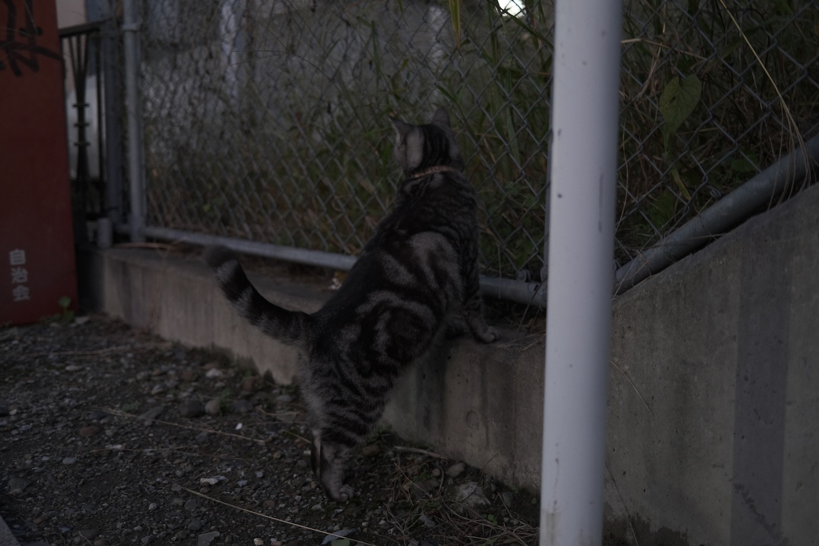 散歩