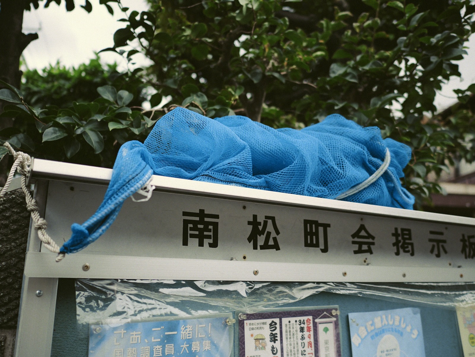 散歩