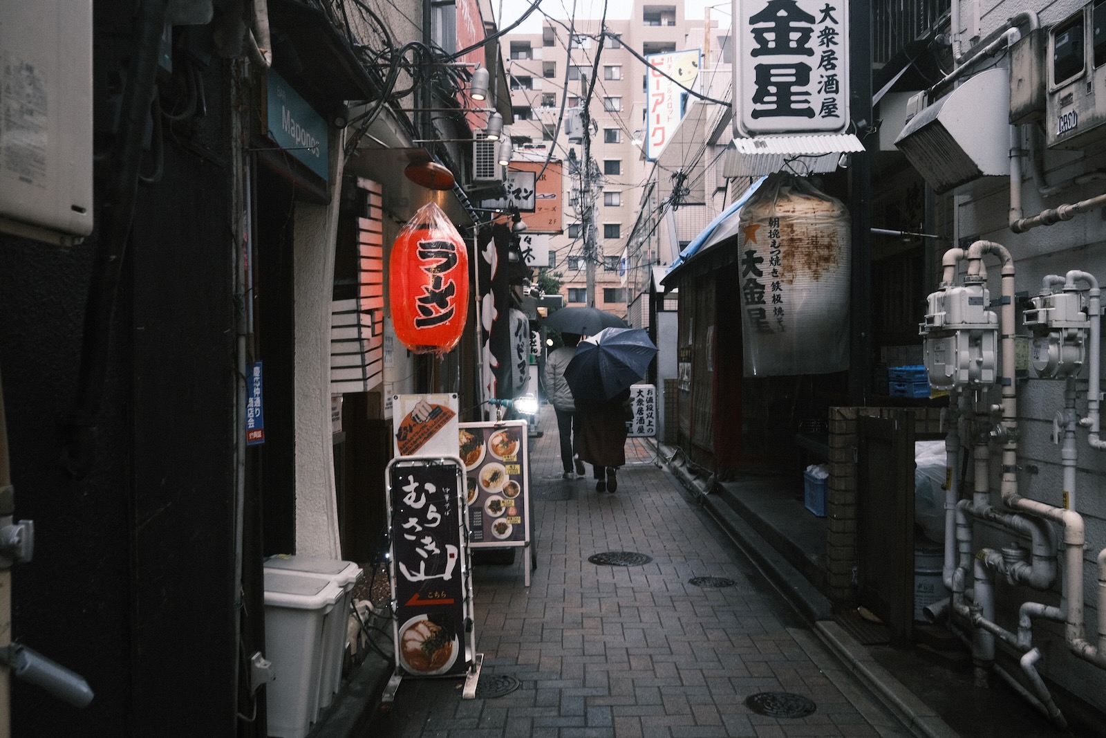 雨