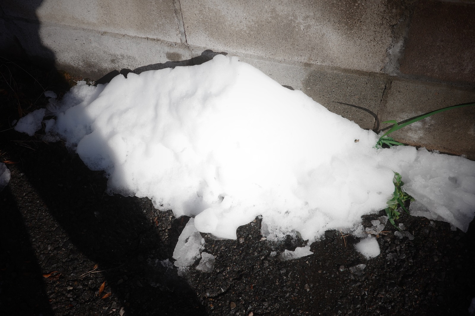 雪！！！！