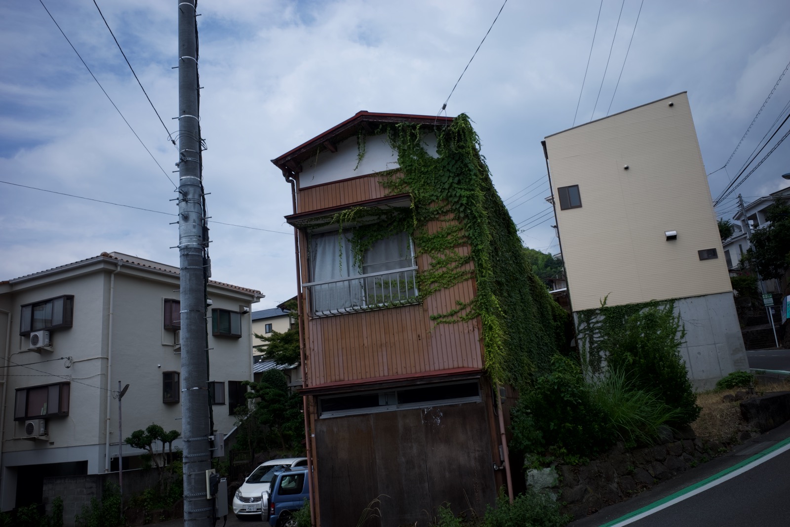 真鶴
