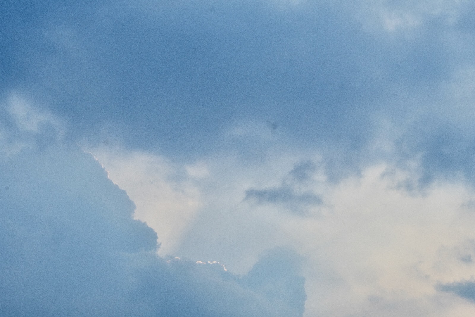 夏
