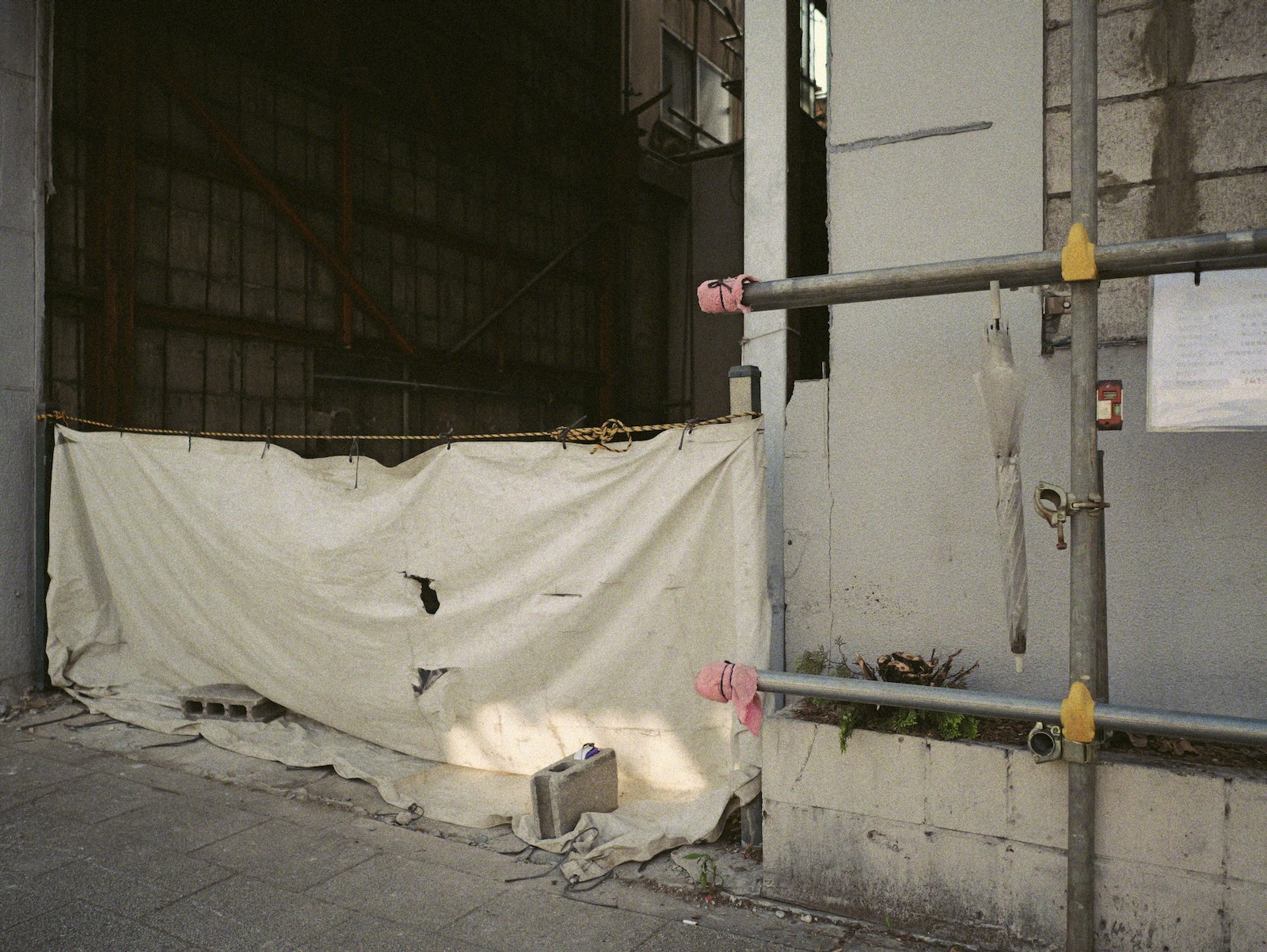 散歩