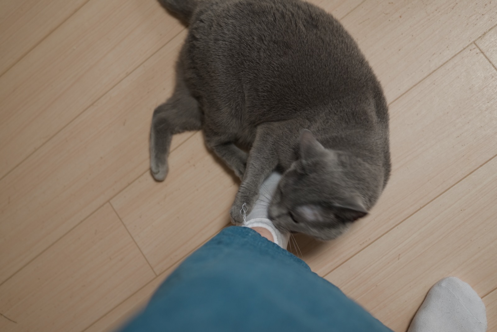 速写