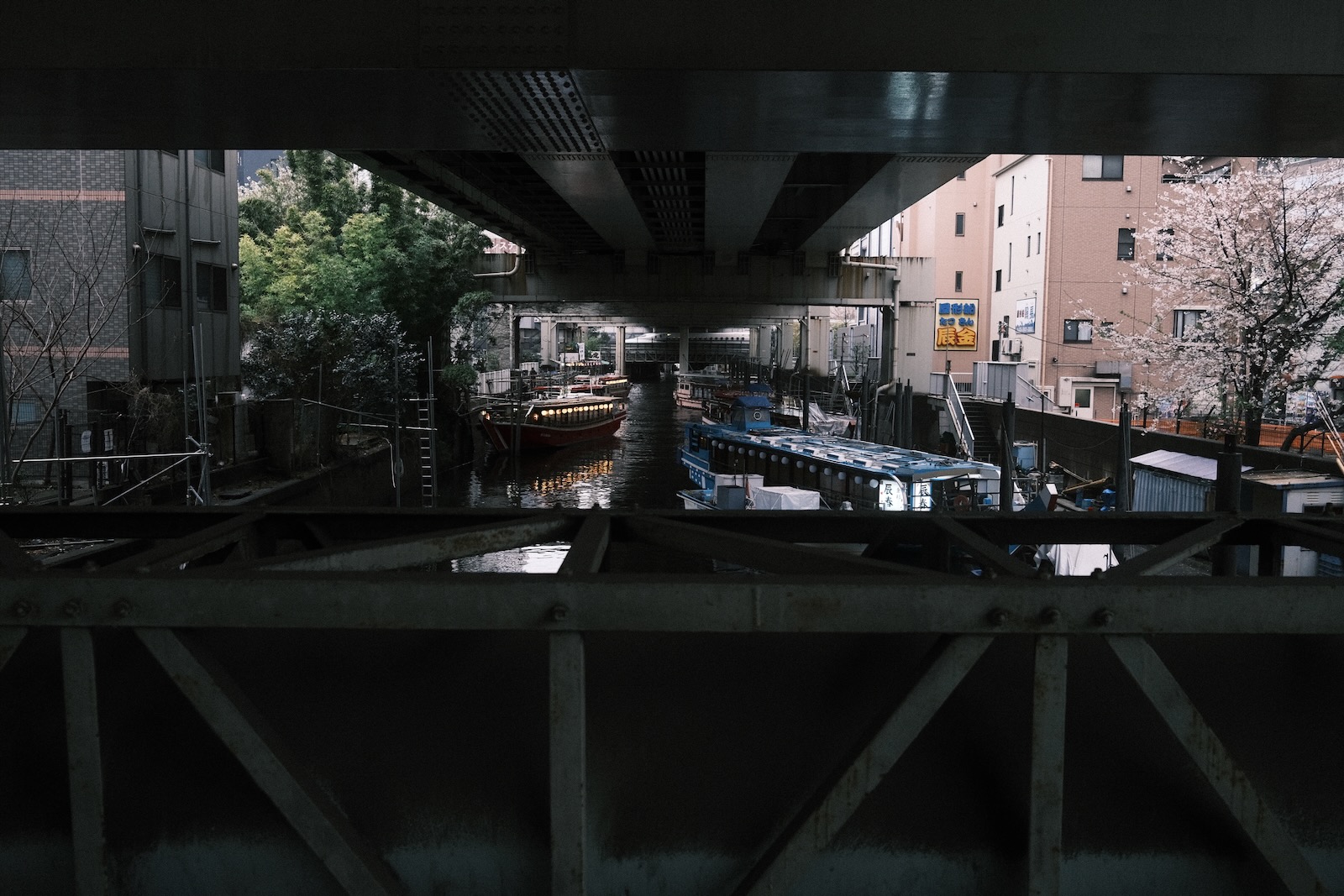 雨