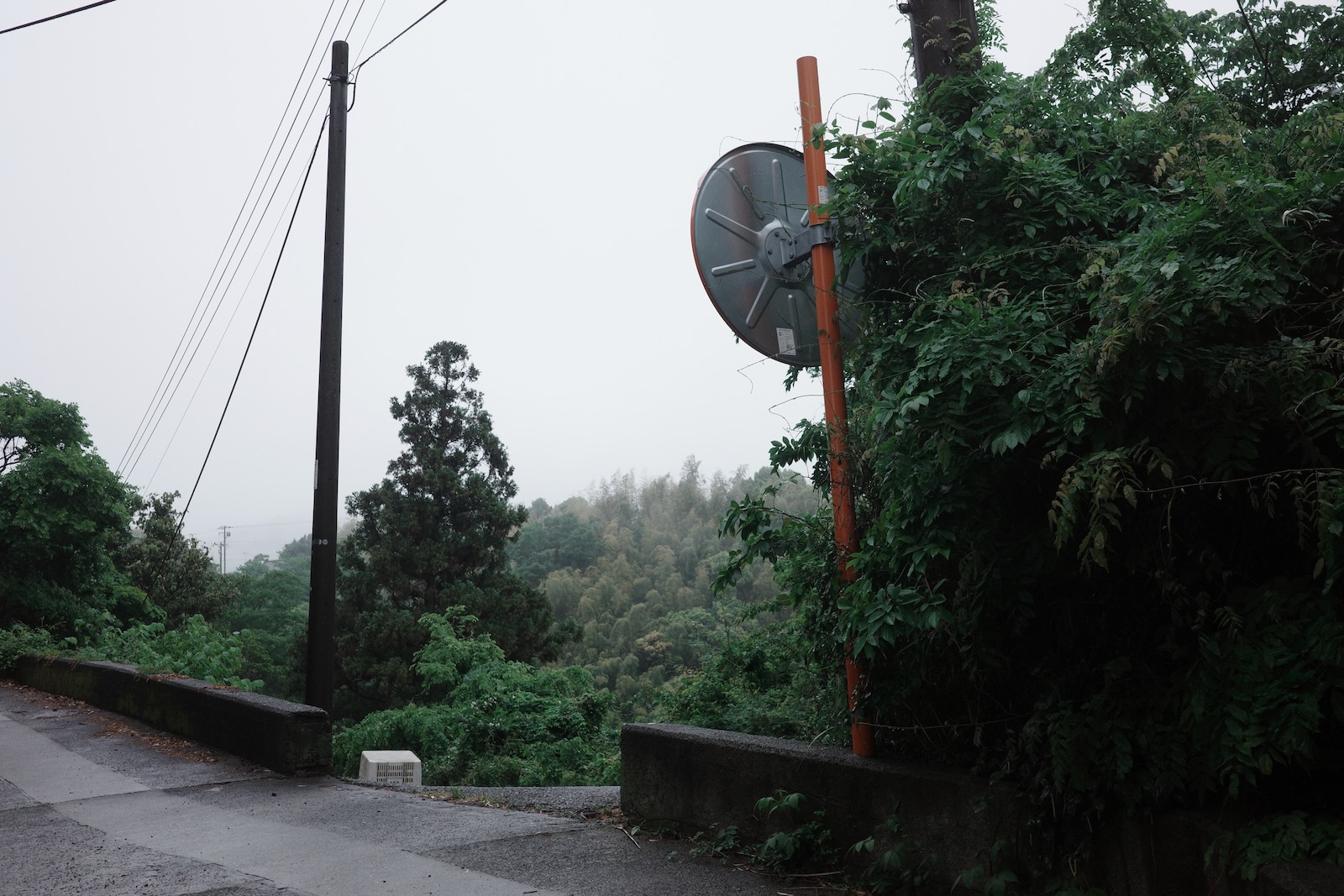 山