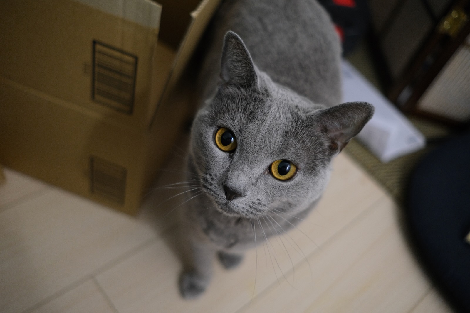 梅ちゃん❤️