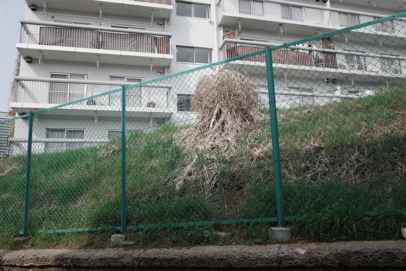 散歩