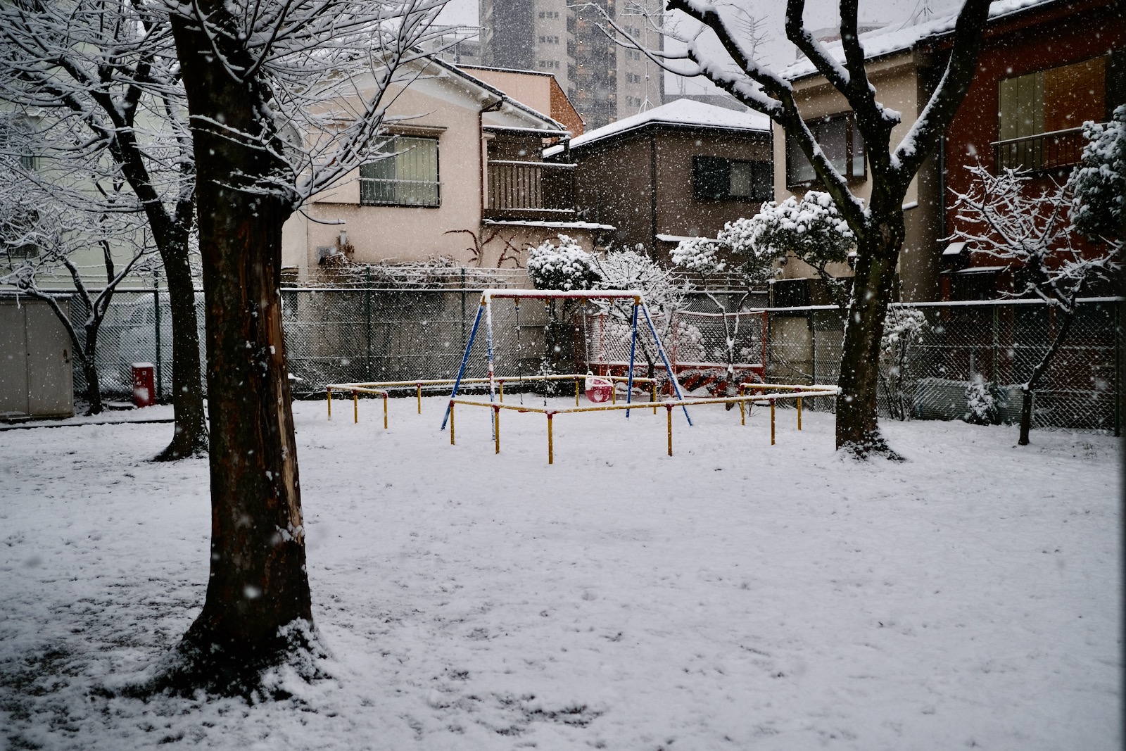 雪