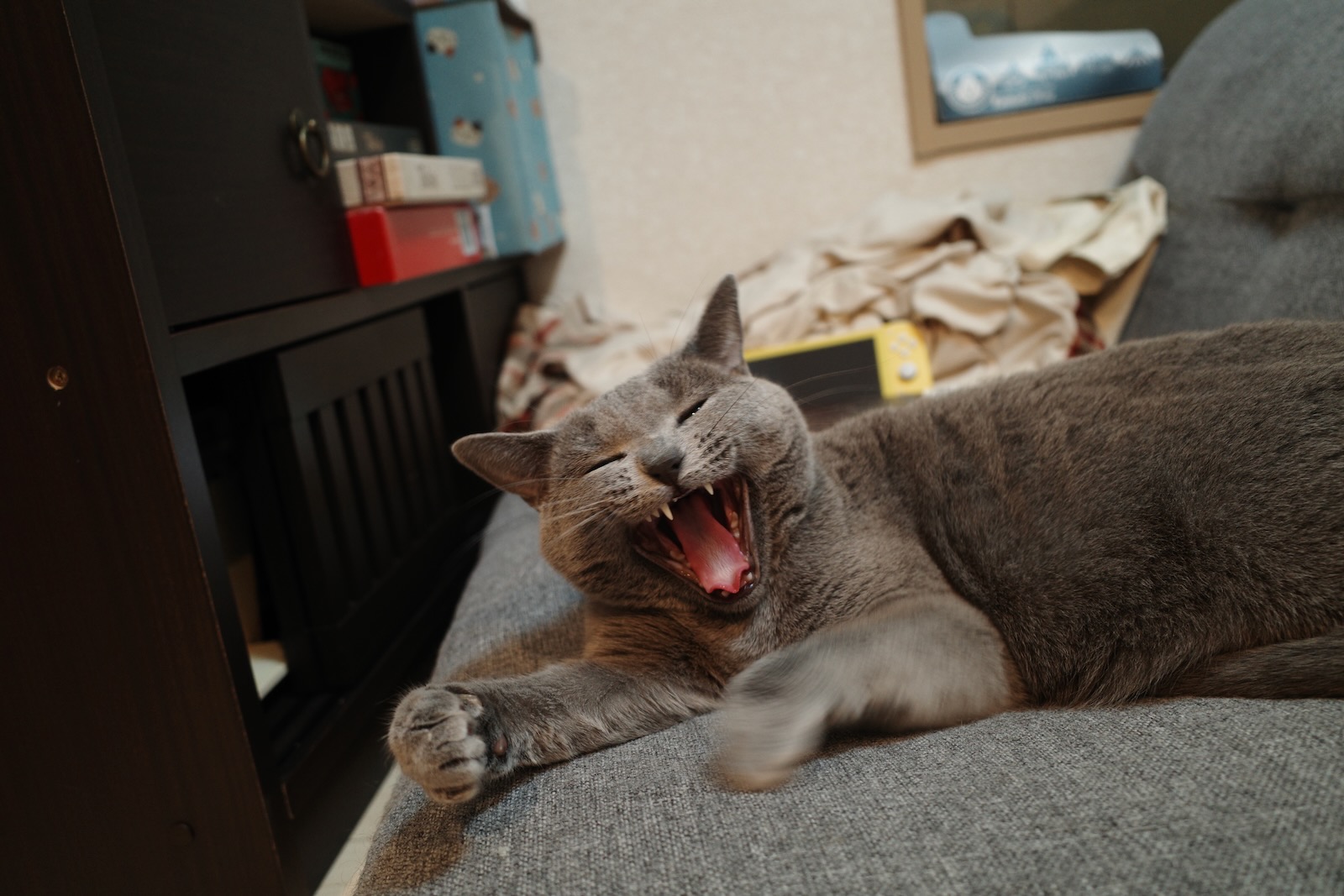 梅ちゃん