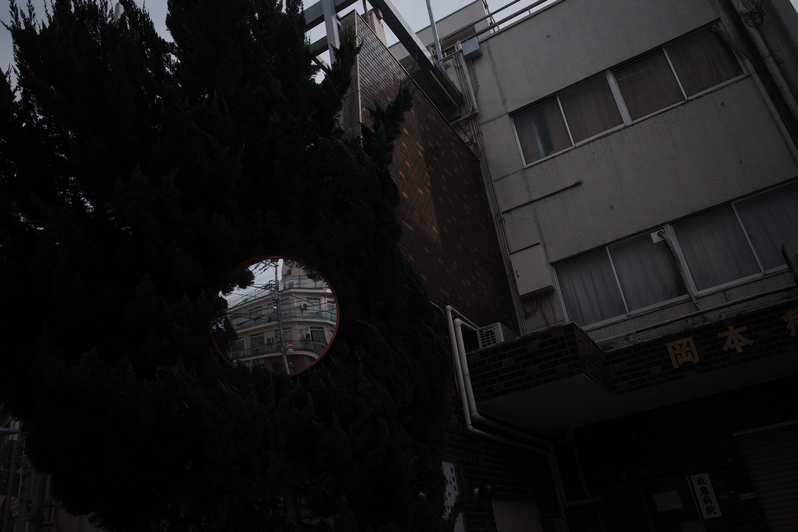 散歩