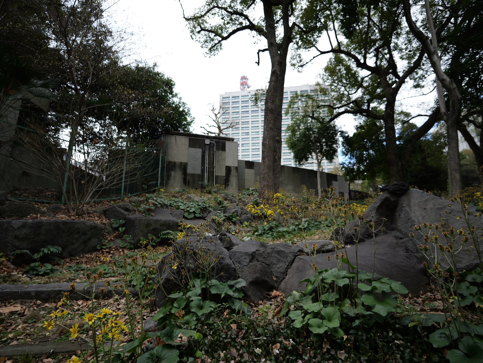日比谷公園