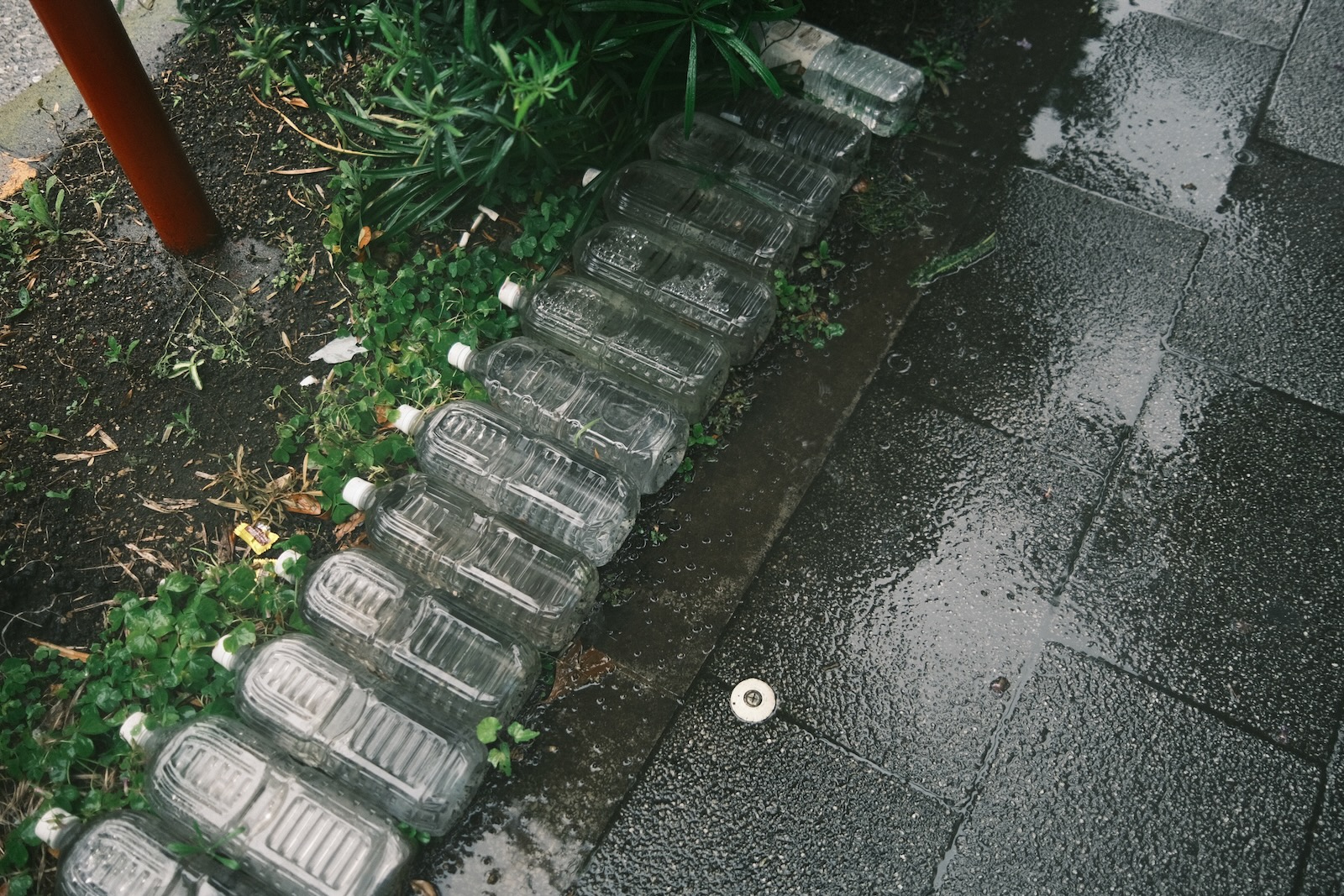 散歩