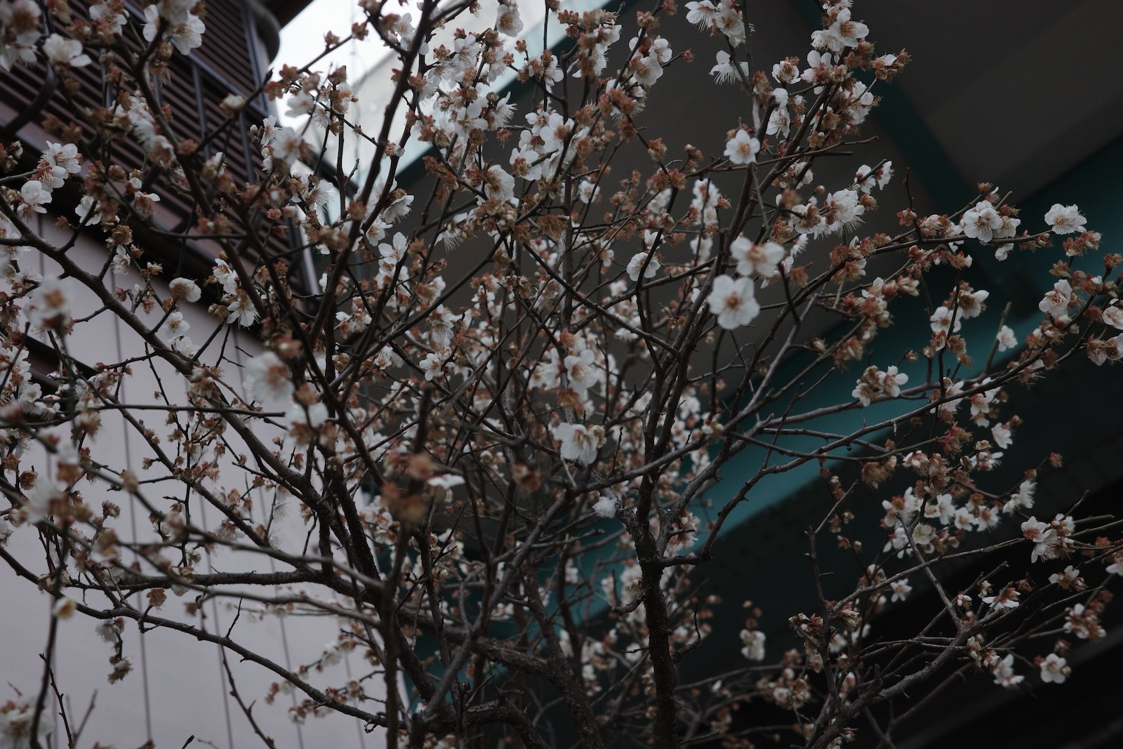 散歩