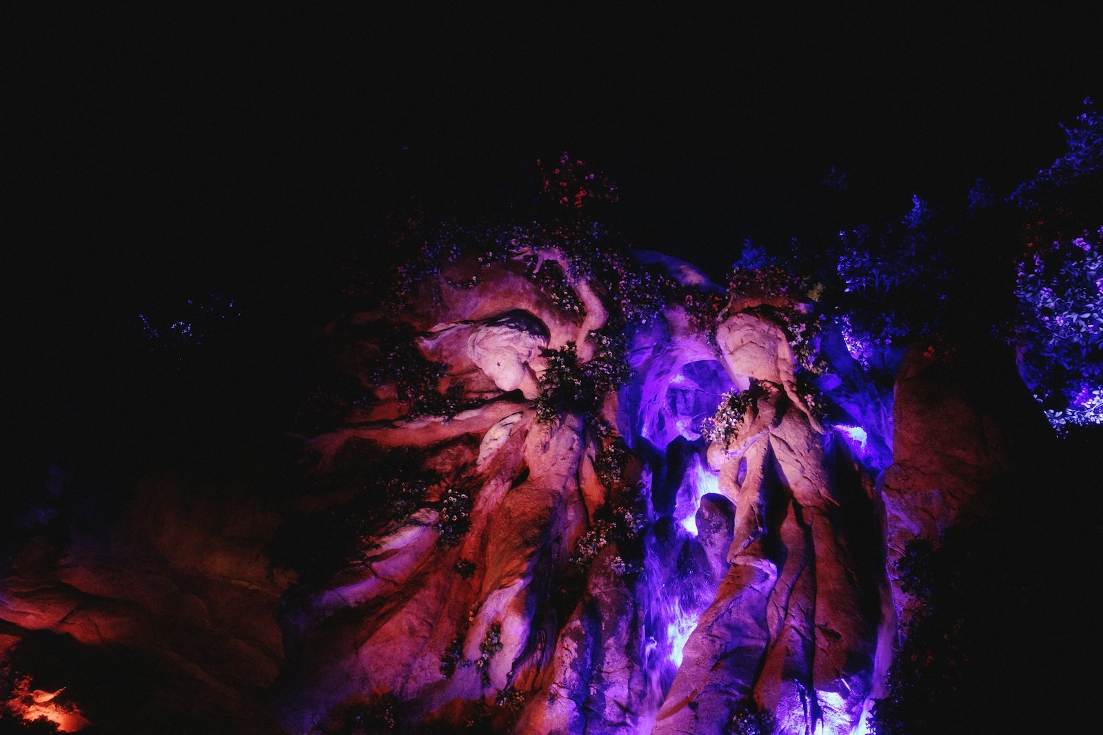 ディズニーシー