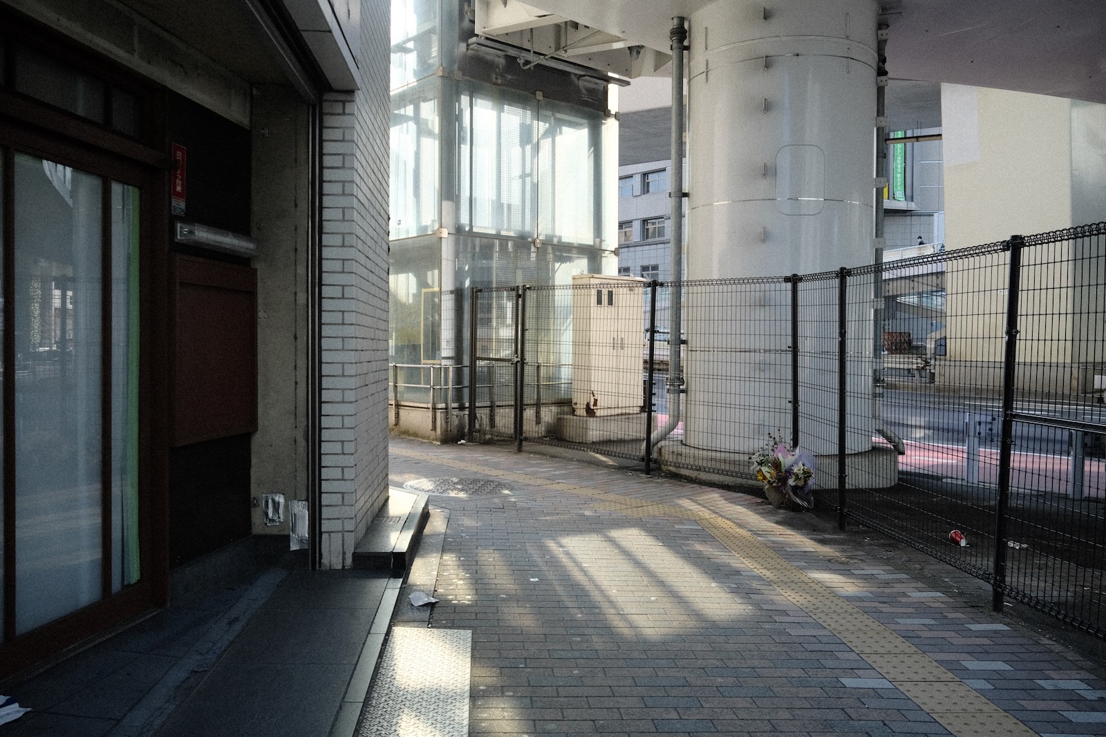 朝