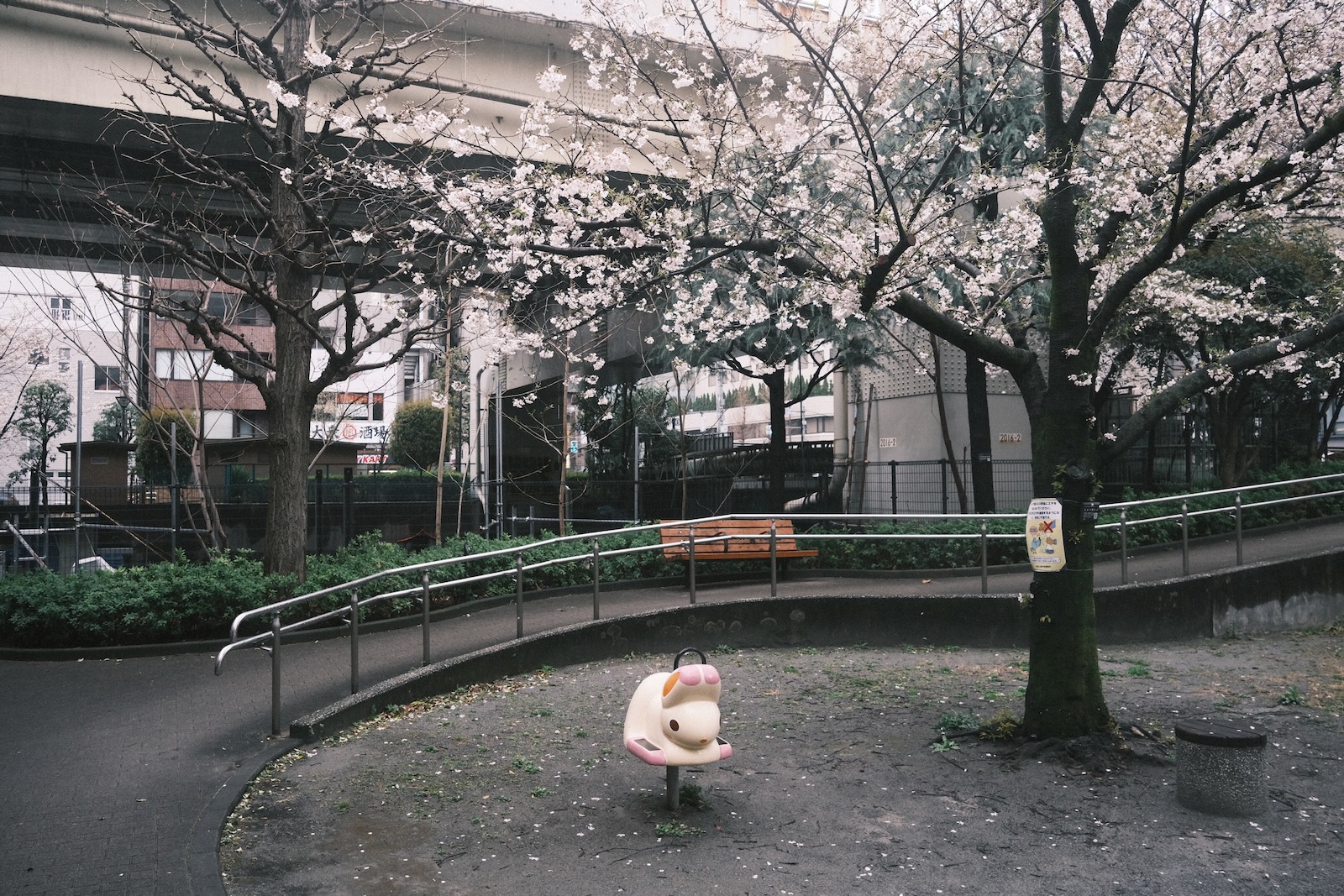 雨