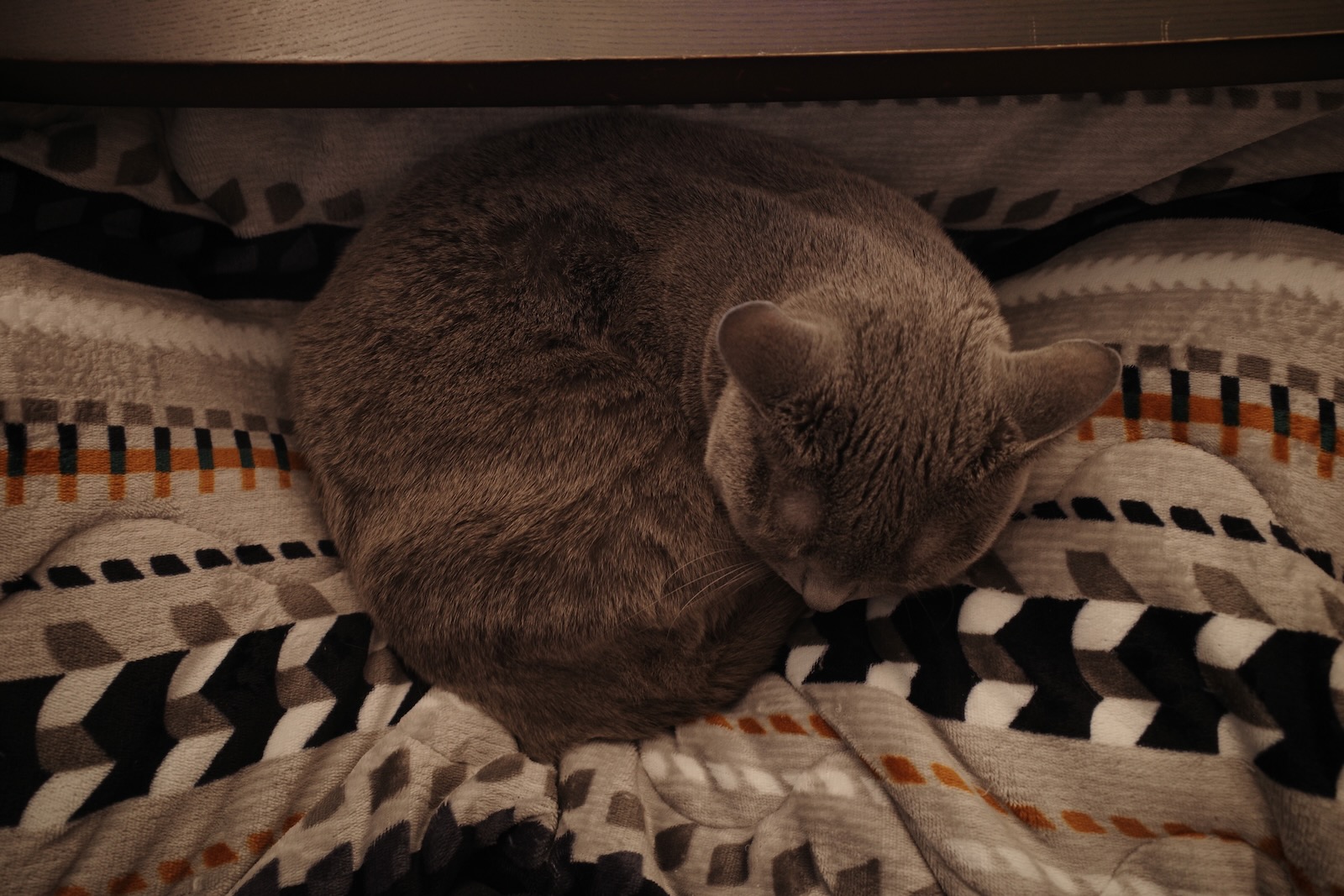 梅ちゃん