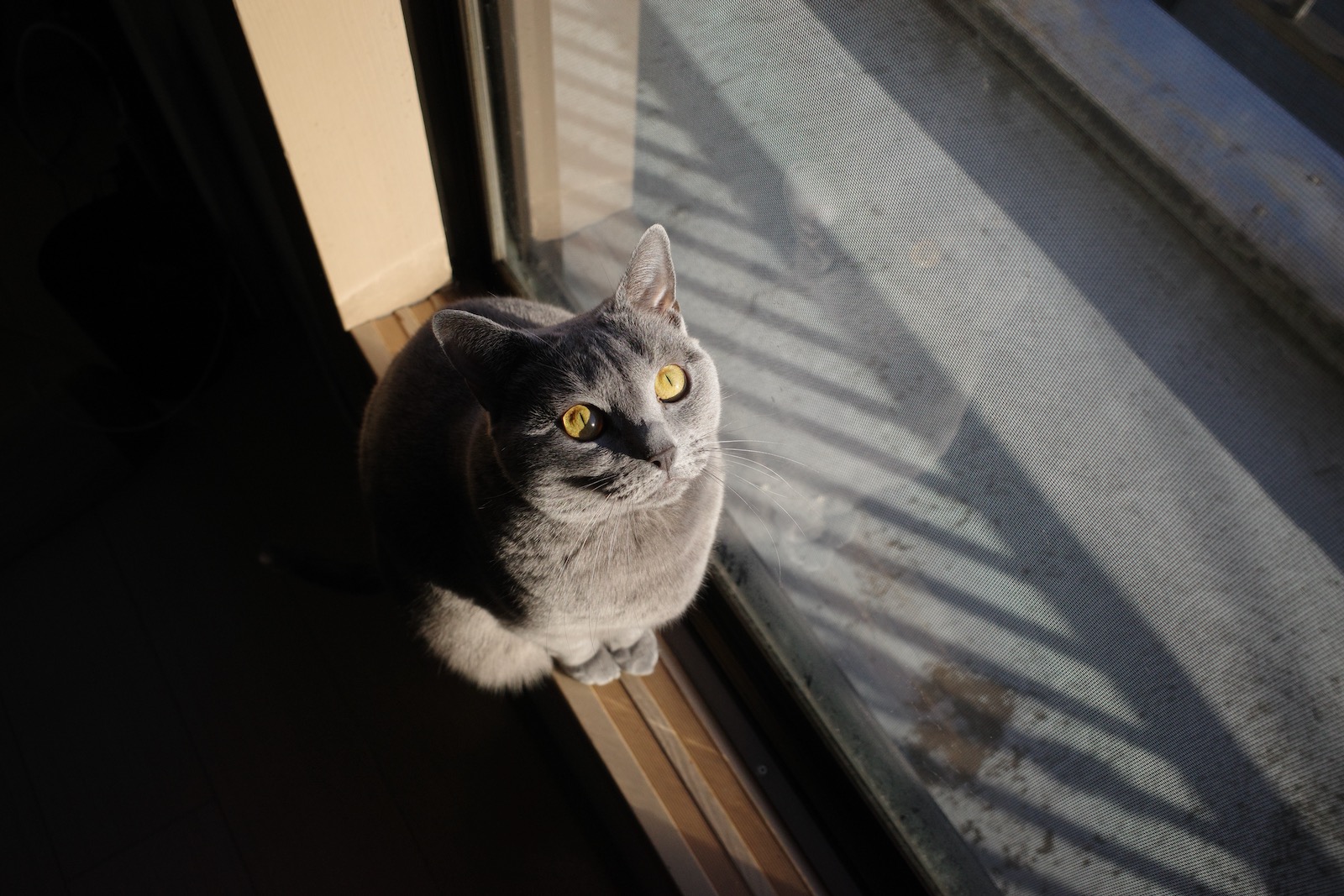 梅ちゃん