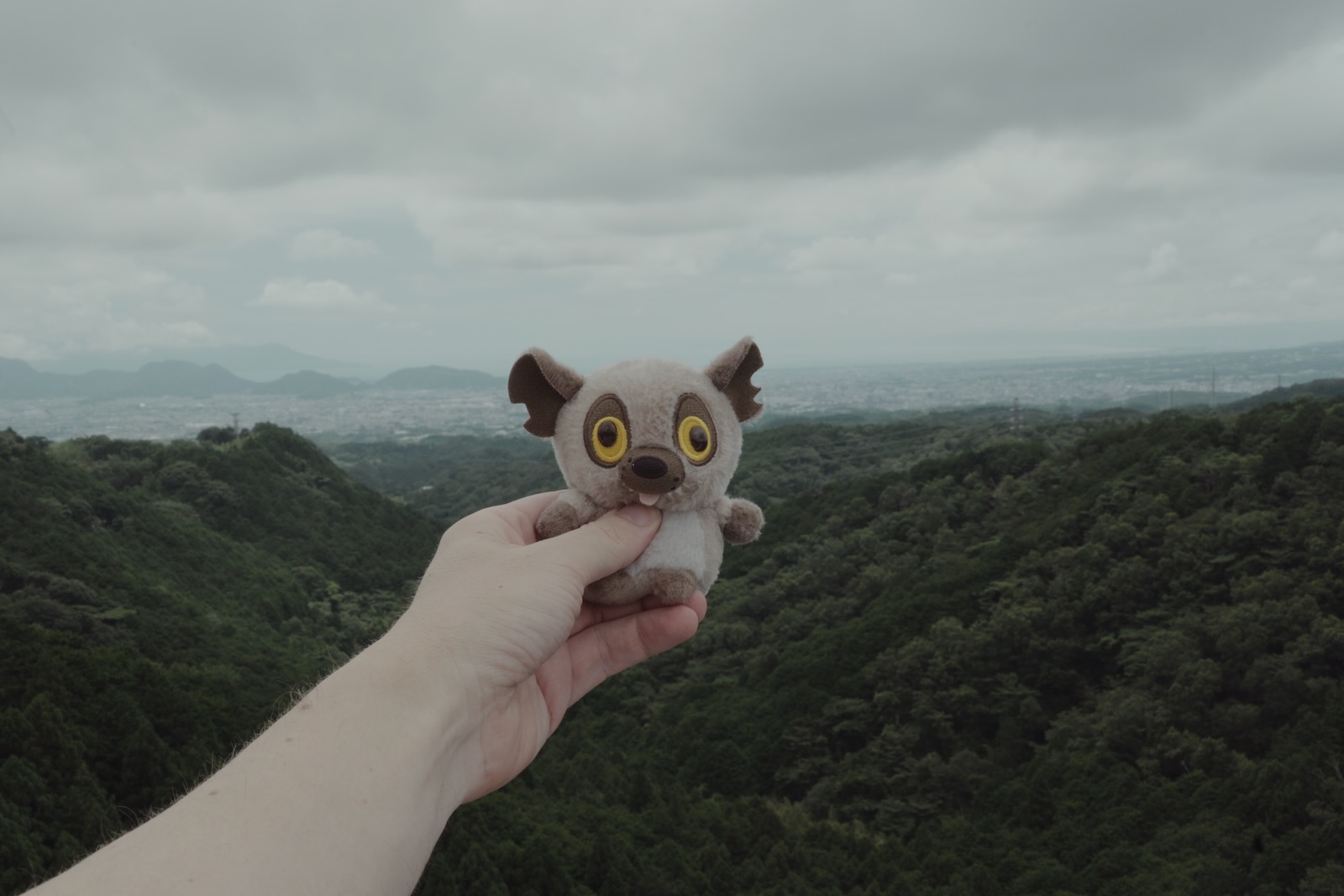 旅行