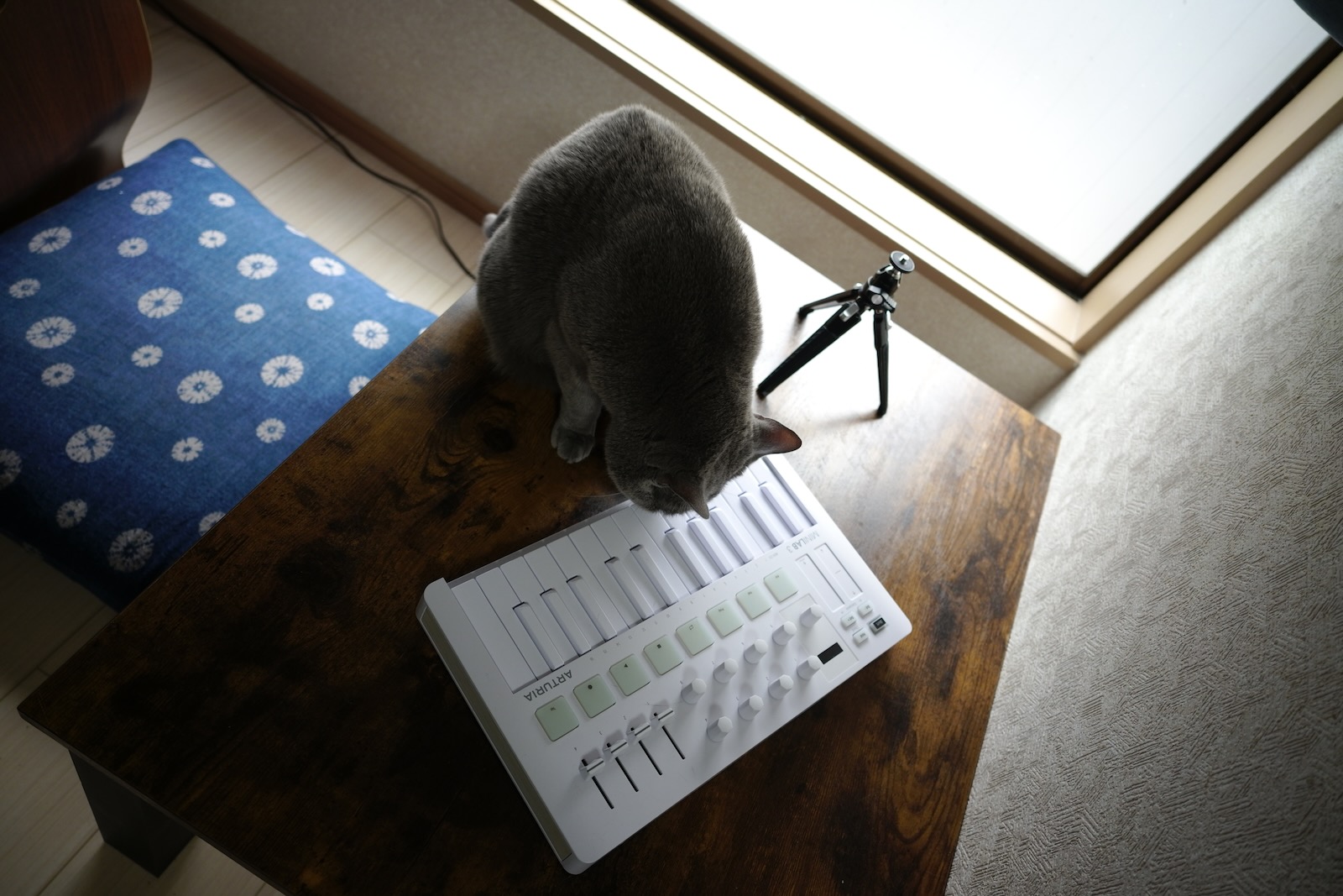 速写
