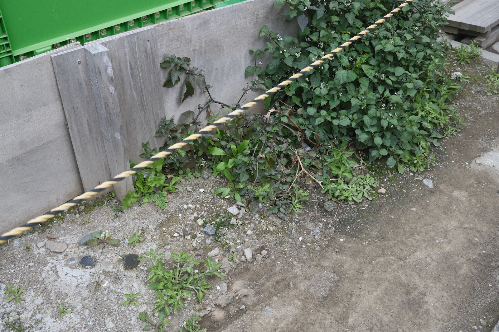 散歩