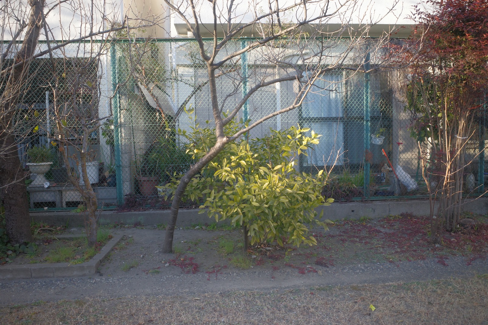 公園