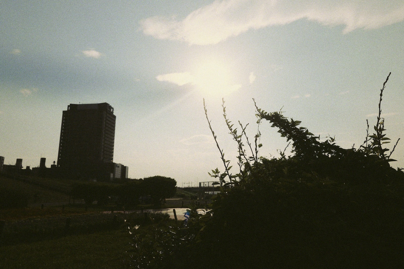 散歩