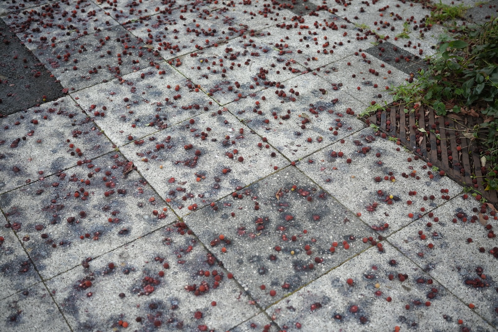 散歩