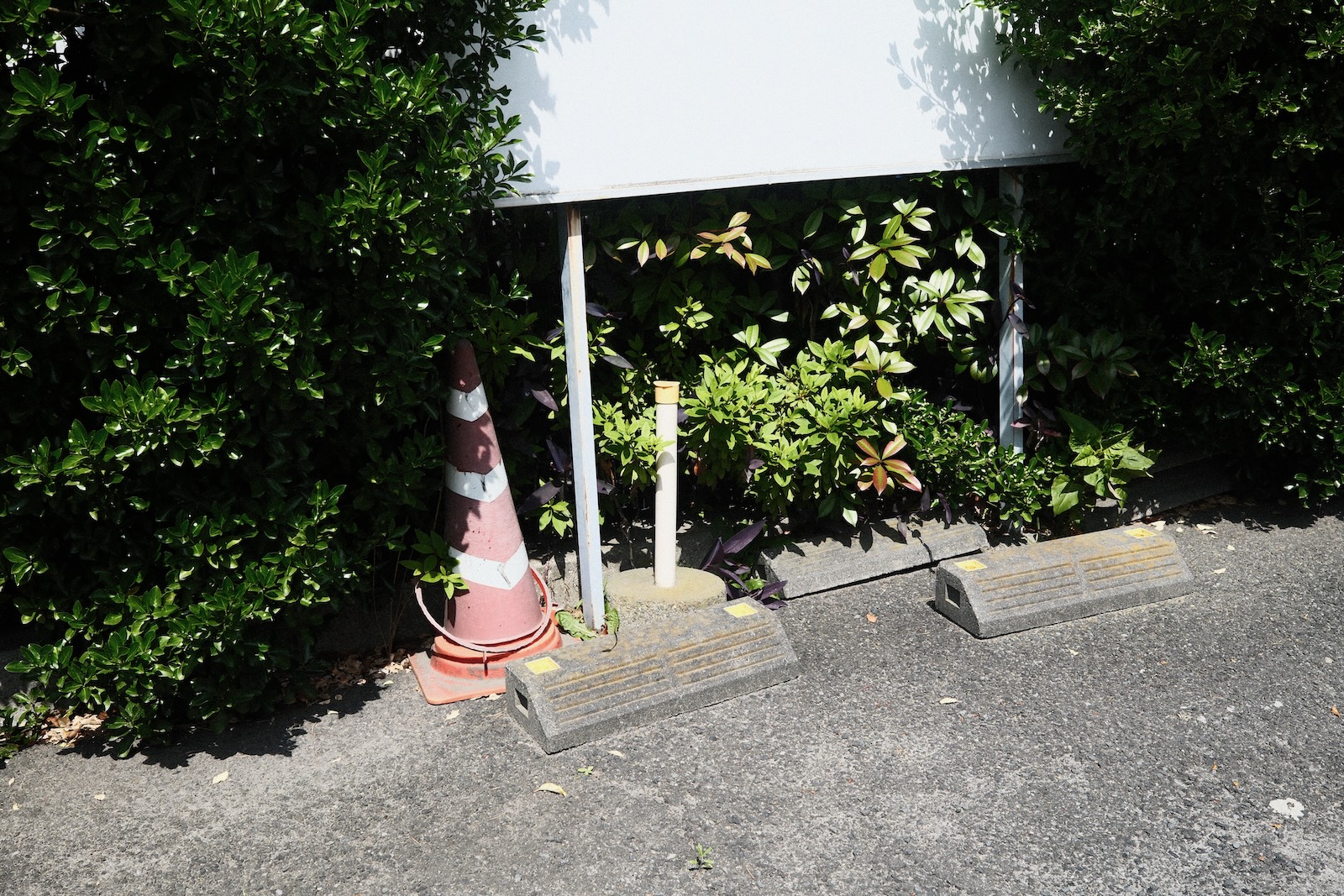 散歩