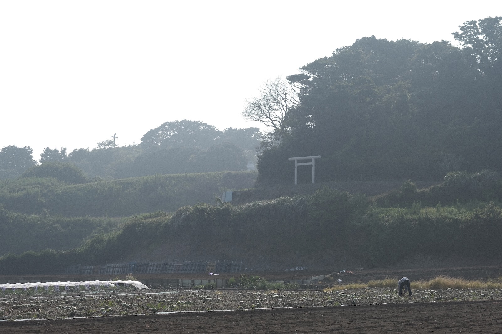 三浦半島