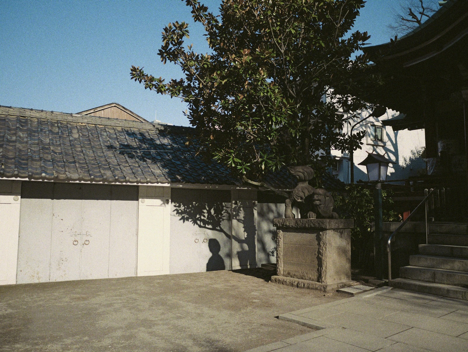 朝