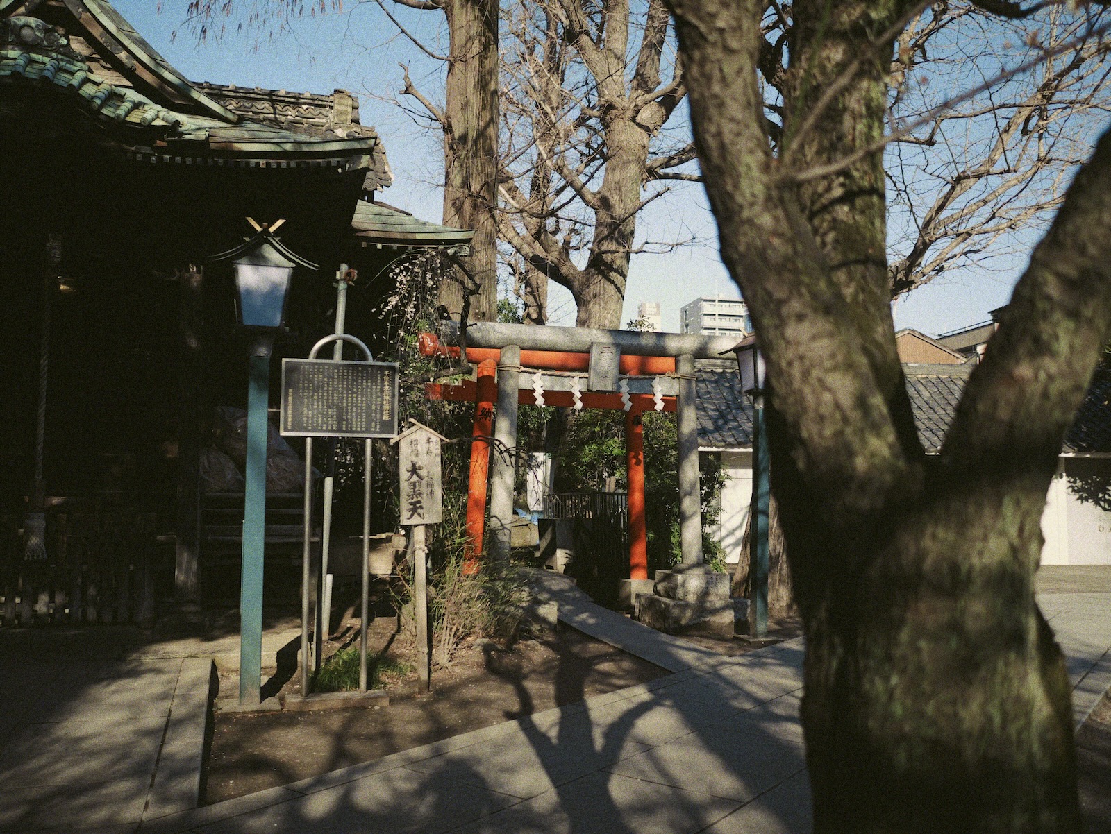 朝