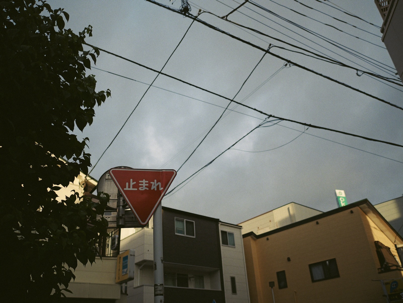 散歩
