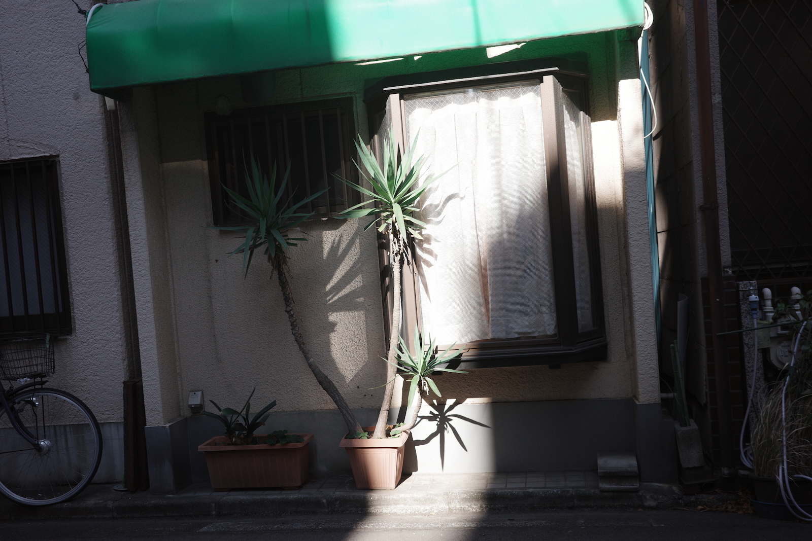 散歩