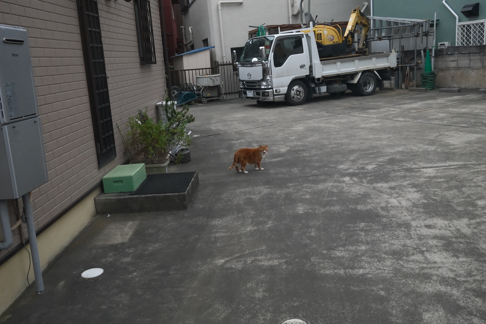散歩