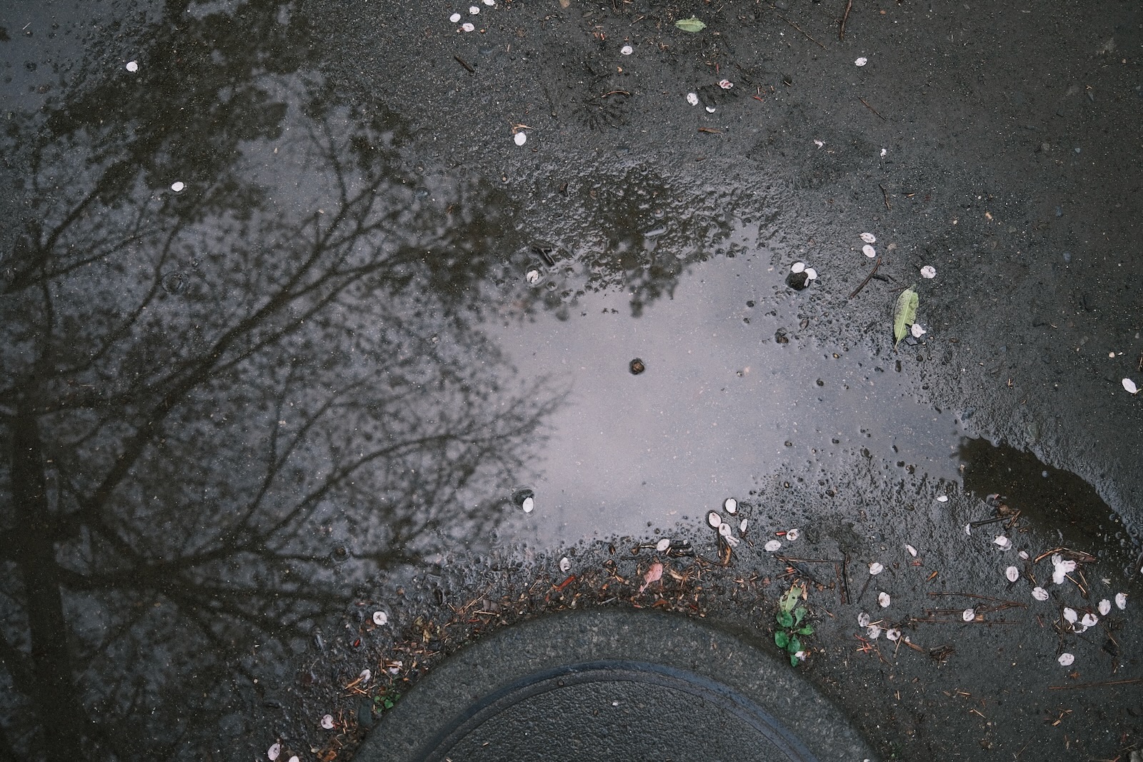 雨