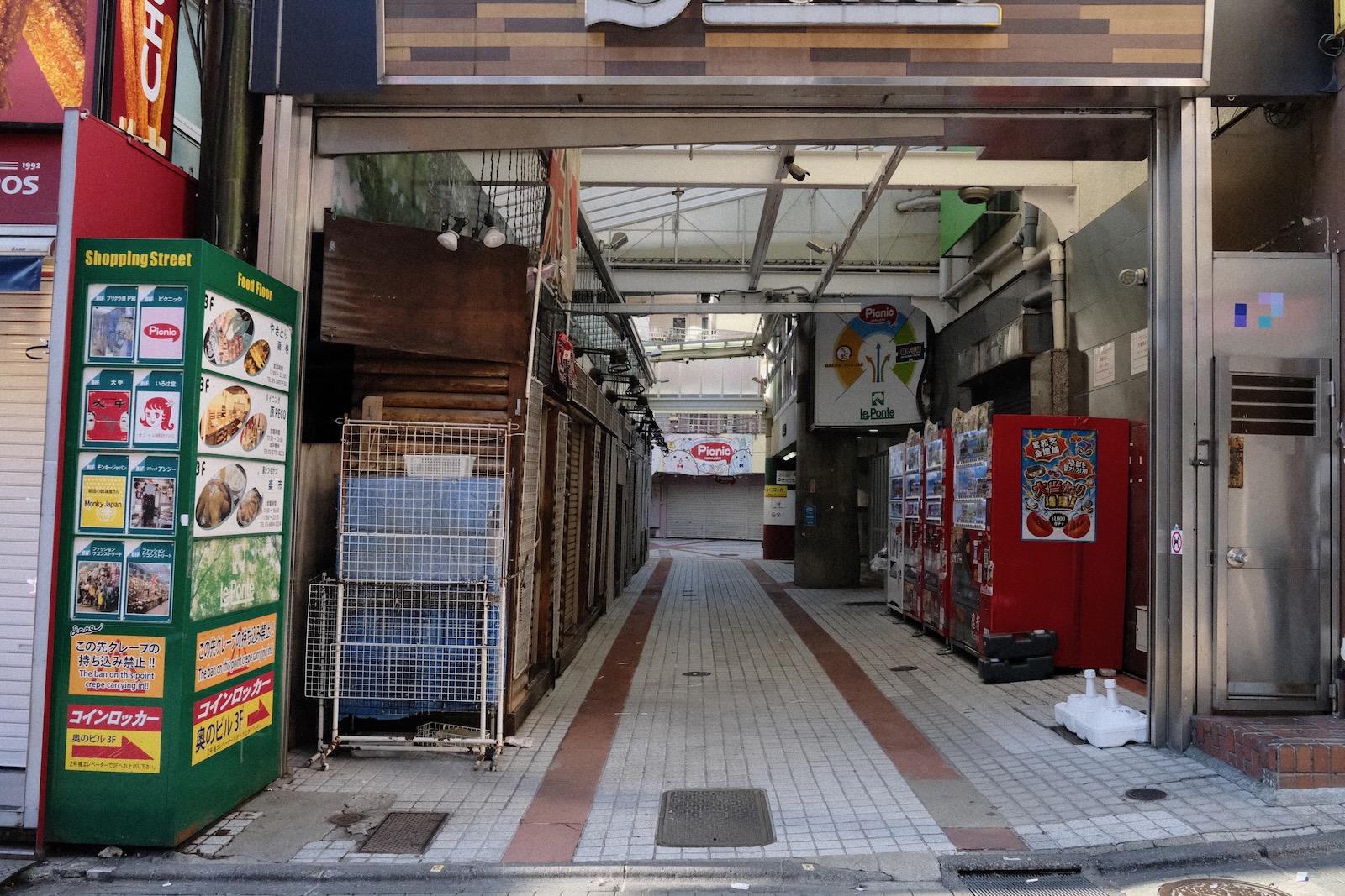 朝