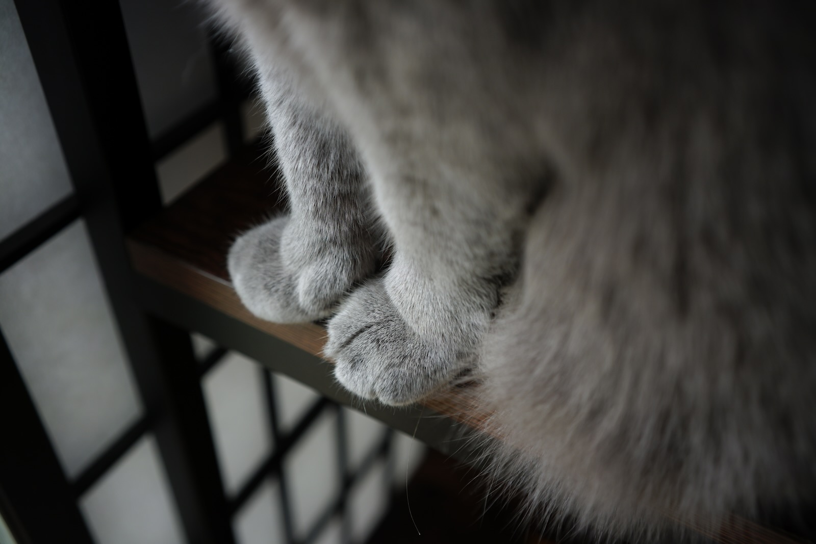 梅ちゃん