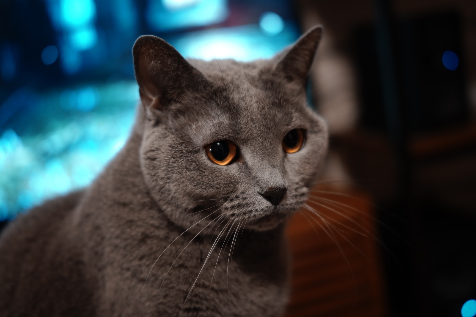 速写