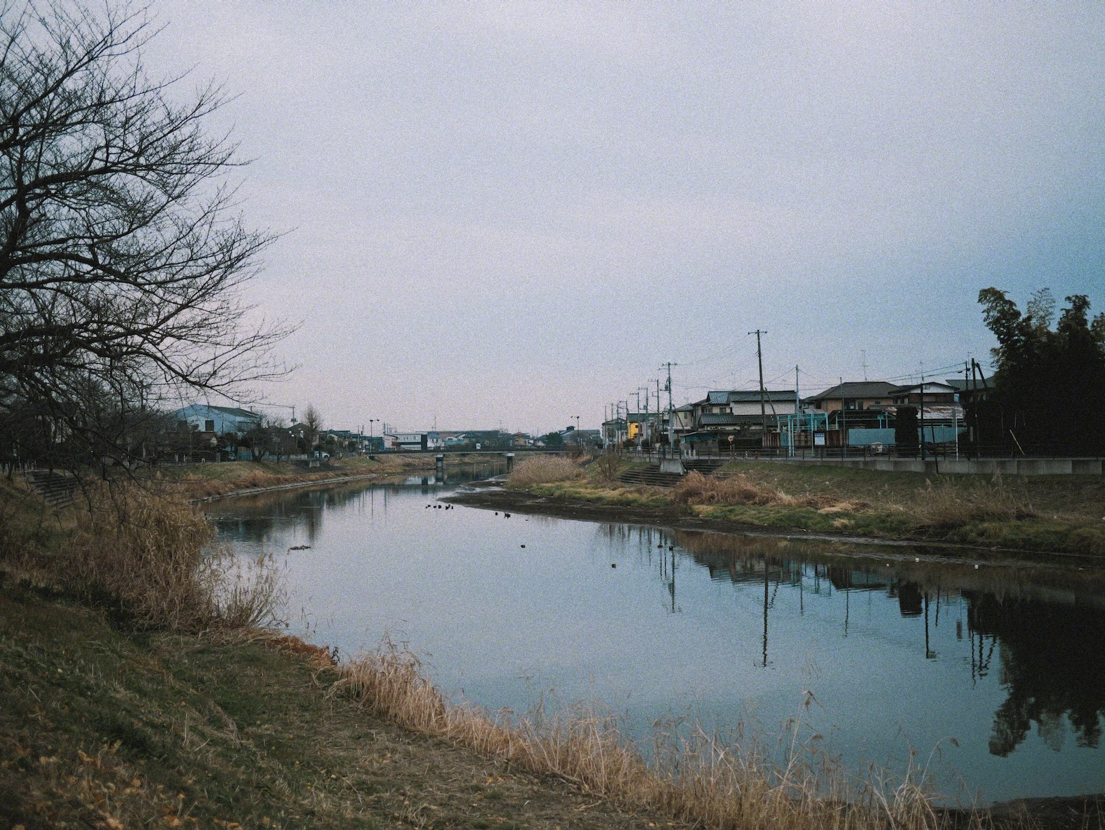 埼玉