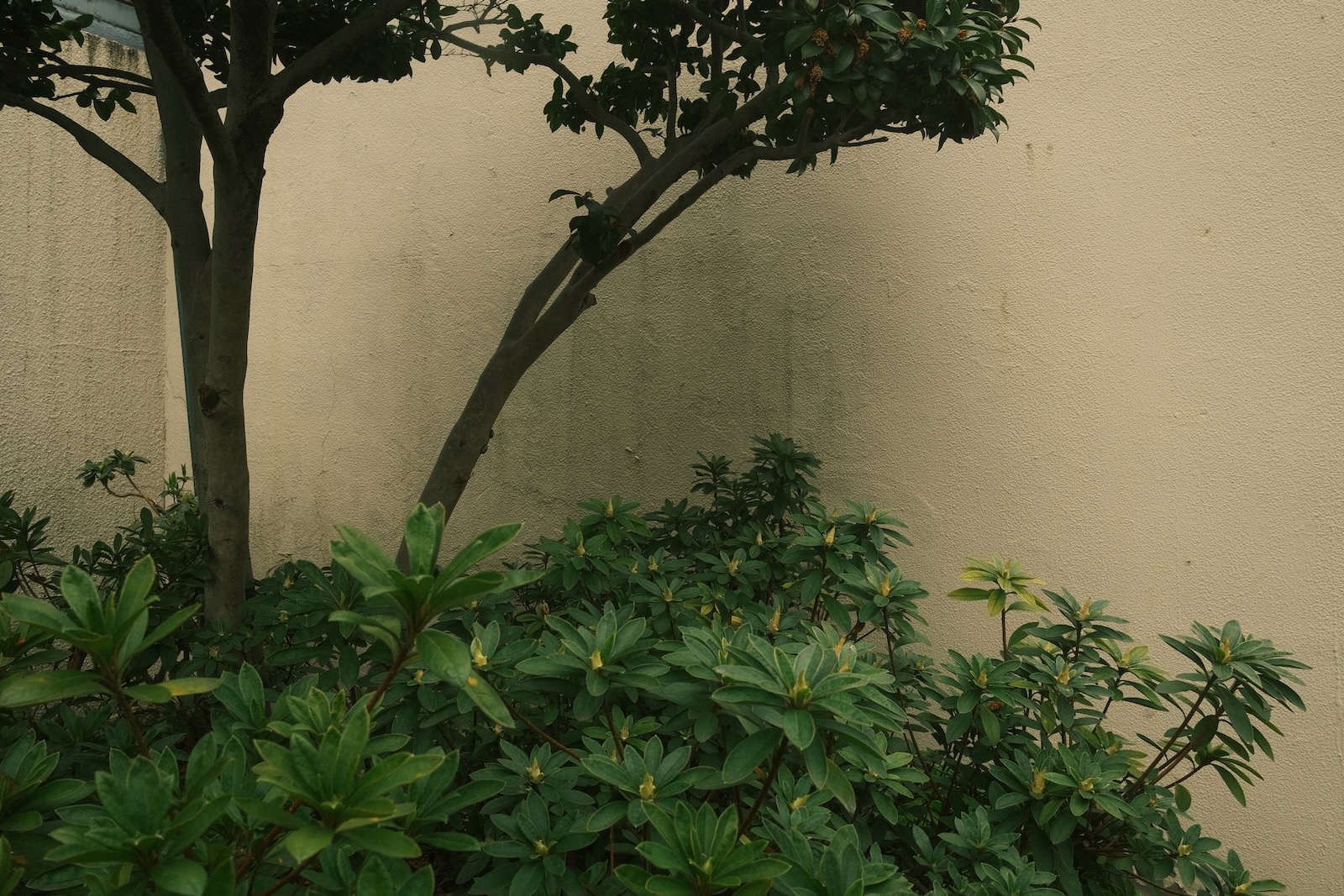 散歩