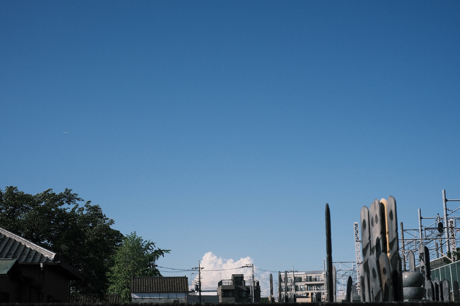 夏