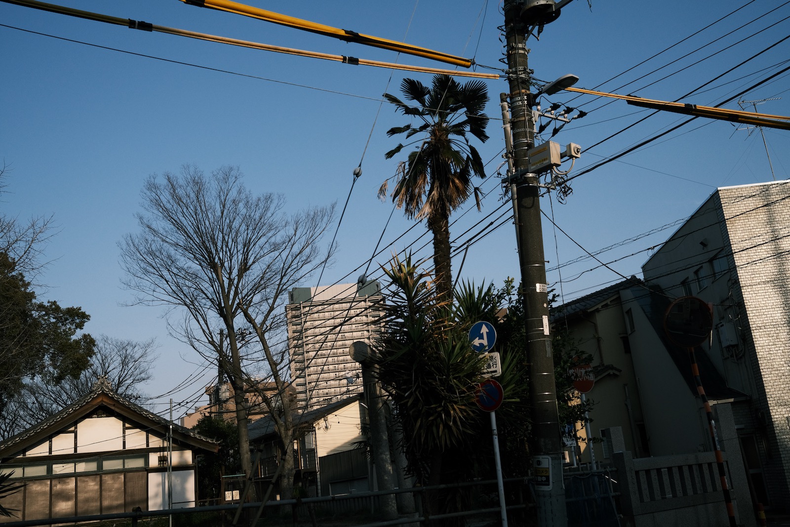 散歩