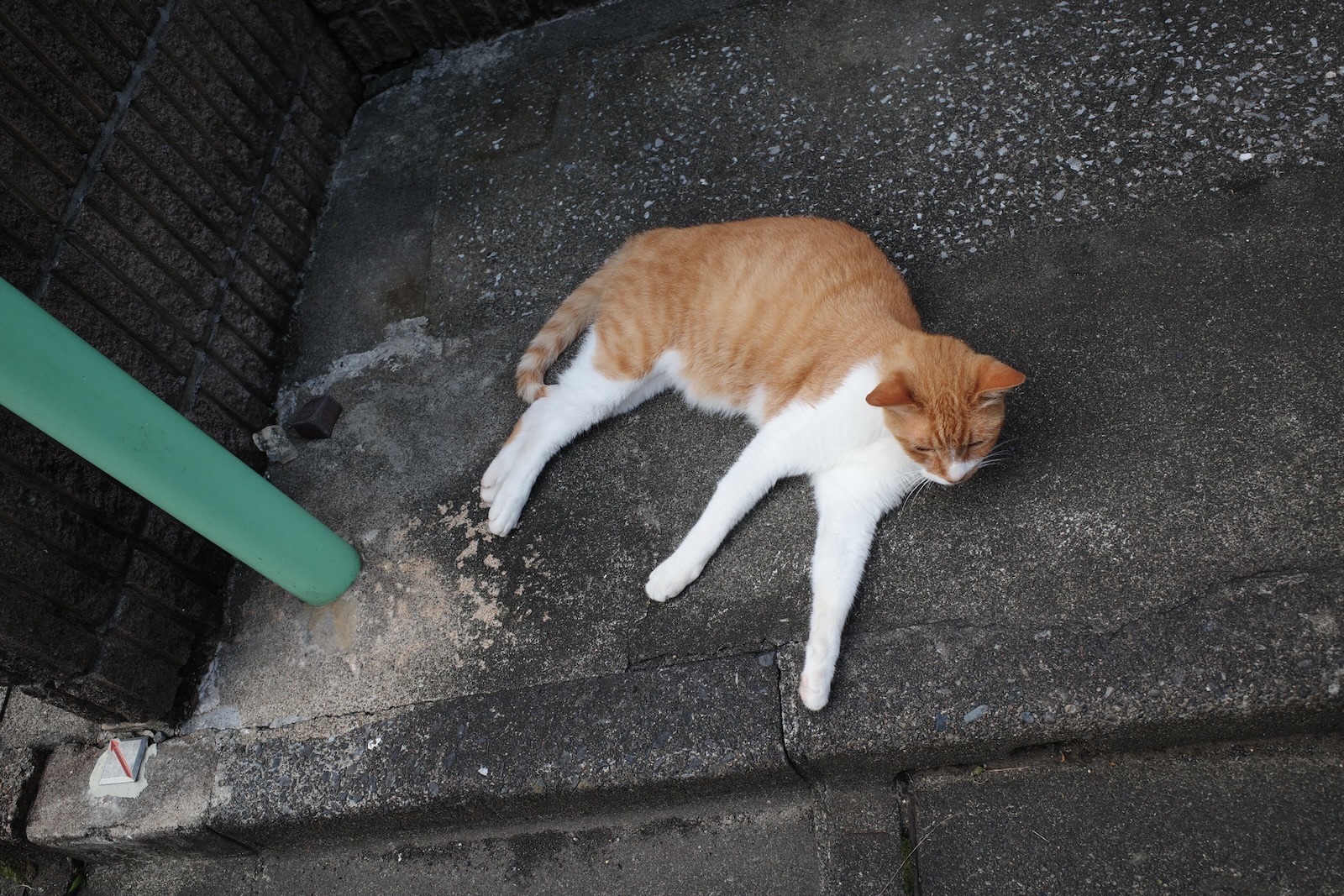 散歩
