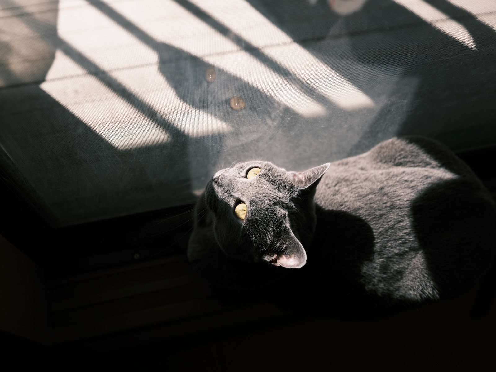 秋